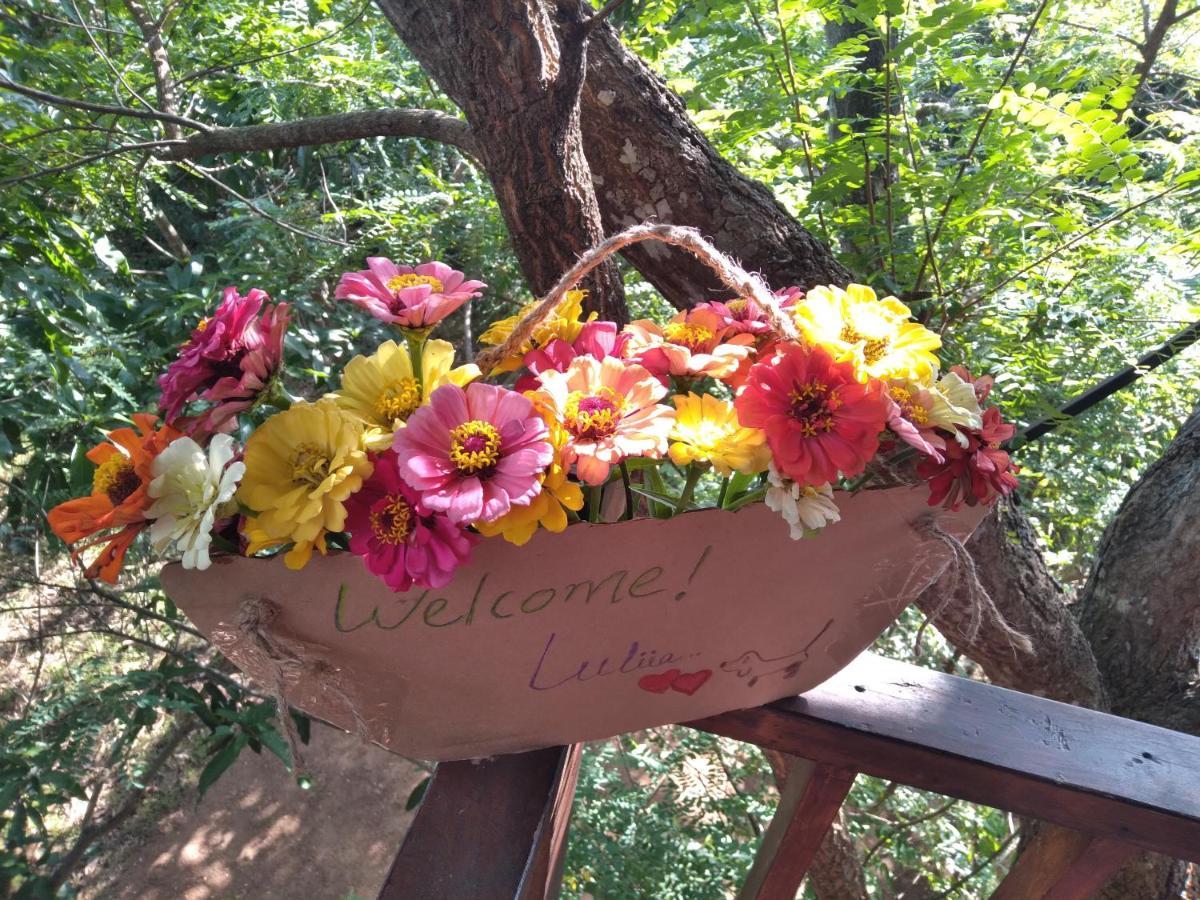 Willa Dambulla Tree House Zewnętrze zdjęcie
