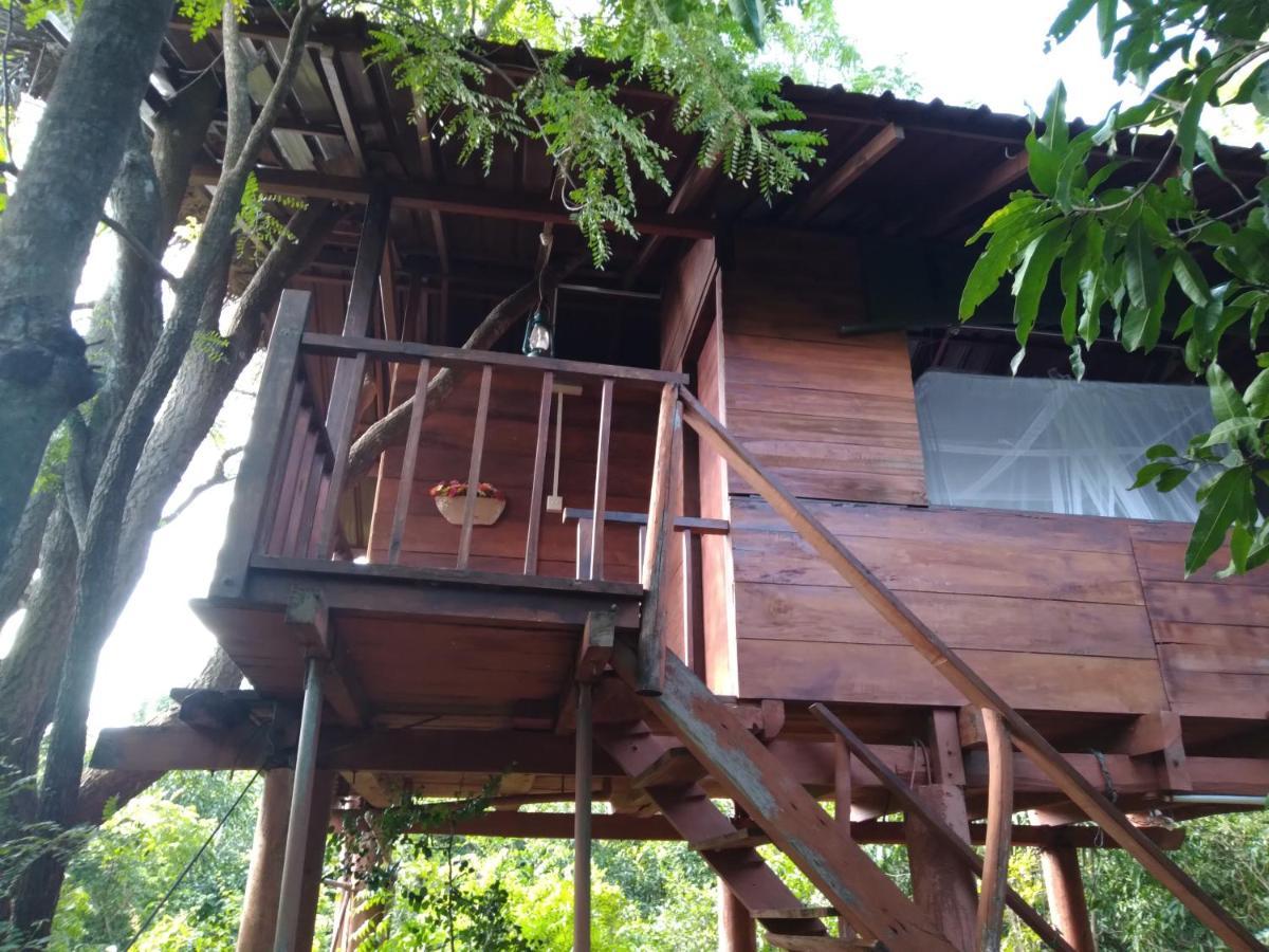 Willa Dambulla Tree House Zewnętrze zdjęcie