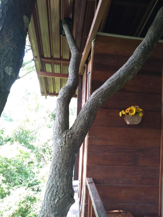Willa Dambulla Tree House Zewnętrze zdjęcie