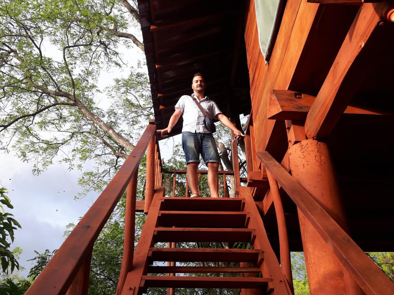 Willa Dambulla Tree House Zewnętrze zdjęcie