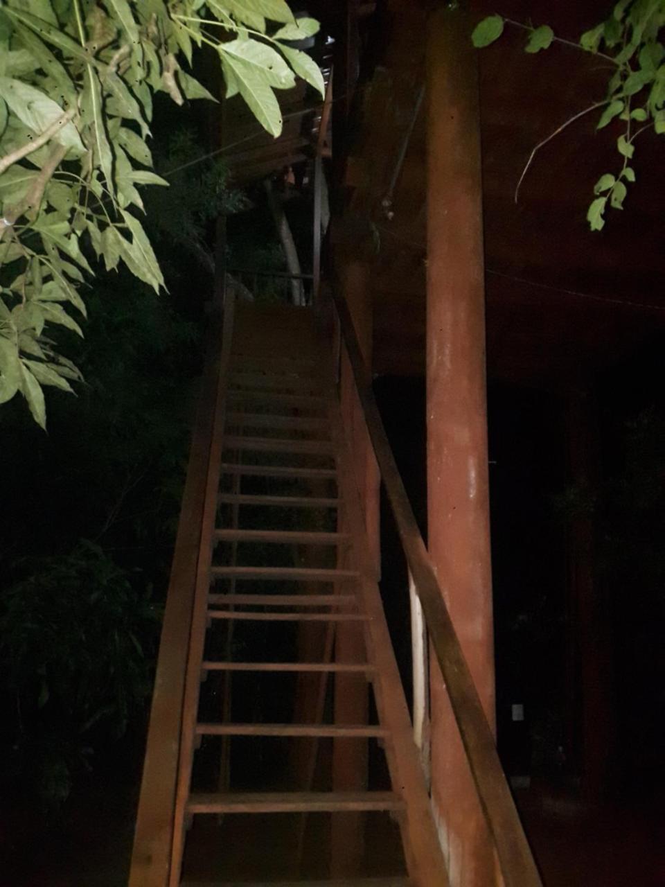 Willa Dambulla Tree House Zewnętrze zdjęcie